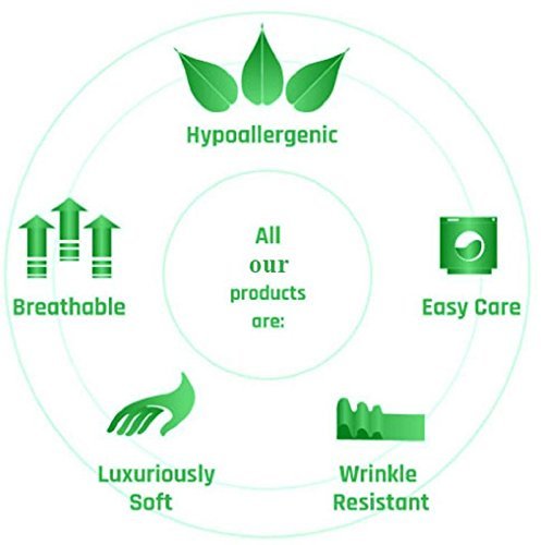 Green-Lined Premium King Size Bedsheet (108" x 108") 300 TC