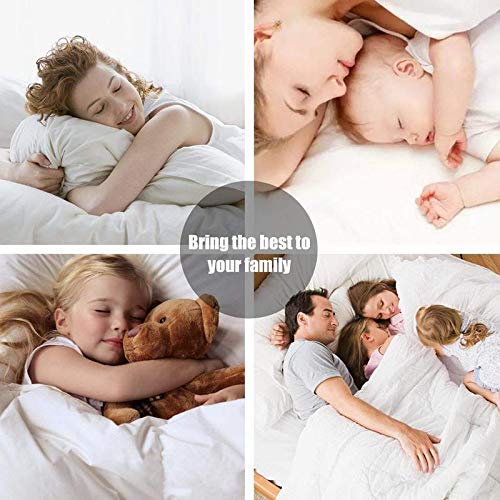 Plain White Cotton Premium King Size Bedsheet (108" x 108") 600TC