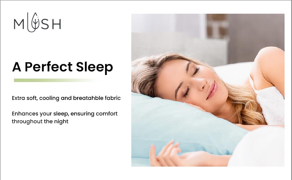 Seraphis Premium King Size Bedsheet (108" x 108") - 400 TC