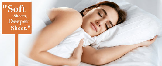 Lamora Premium Double Bedsheet (90" x 100") - 300 TC