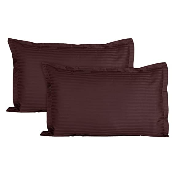 Zophine Premium Queen Size Bedsheet (90" x 100") 300 TC