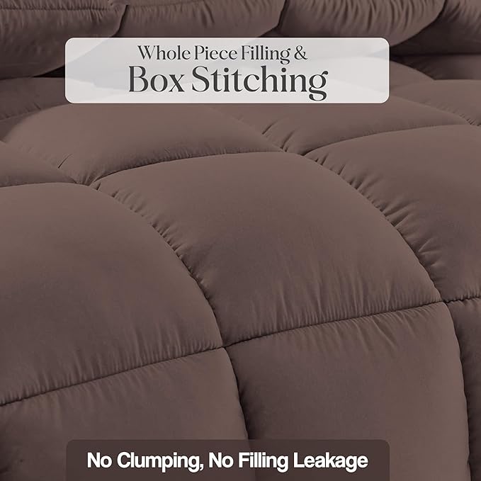 Cresencia Premium All Weather Quilt/Comforter