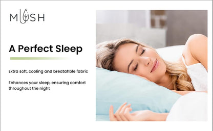 Seraphis Premium King Size Bedsheet (108" x 108") - 400 TC